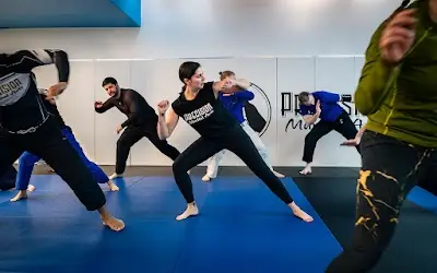 Precision Martial Arts BJJ Academy - photo 1