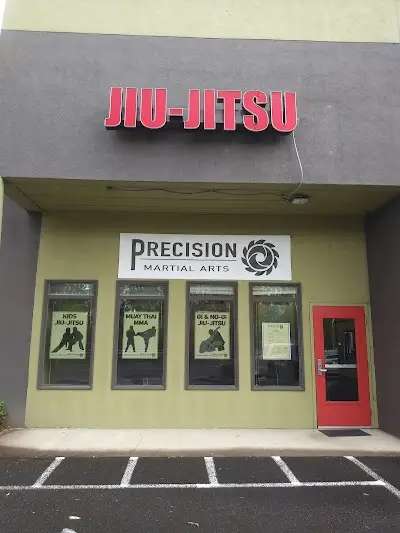 Precision Martial Arts BJJ Academy - photo 3