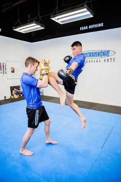 Precision Mixed Martial Arts BJJ Academy - photo 1