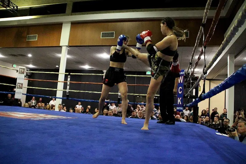 Premier Fight and Fitness BJJ Academy - photo 1