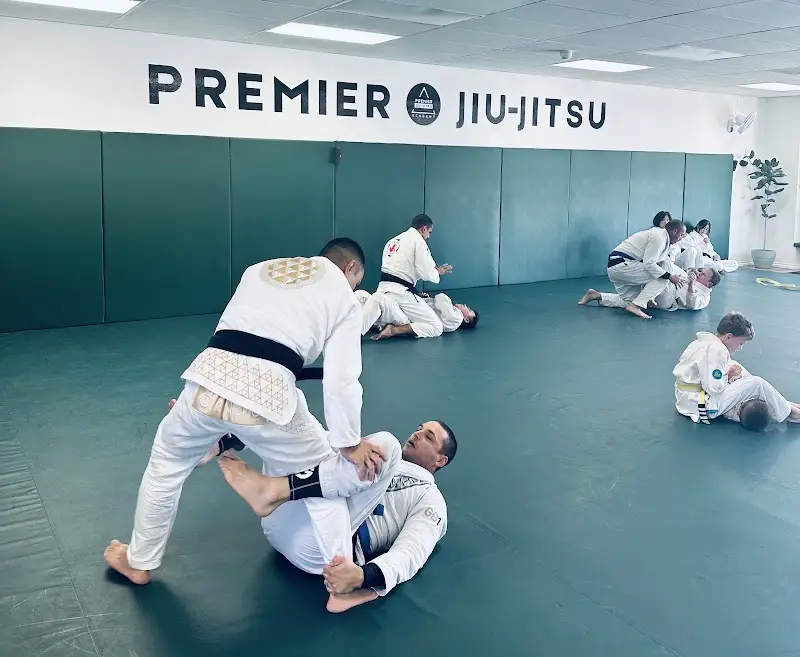 PREMIER JIU JITSU ACADEMY BJJ Academy - photo 2