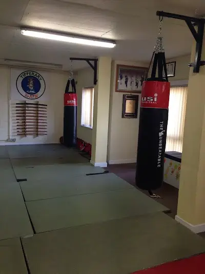 Premier Martial Arts and Fitness BJJ Academy - photo 1