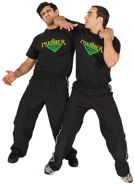 Premier Martial Arts BJJ Academy - photo 2