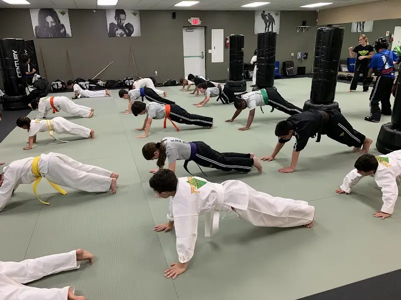 Premier Martial Arts Weston BJJ Academy - photo 1