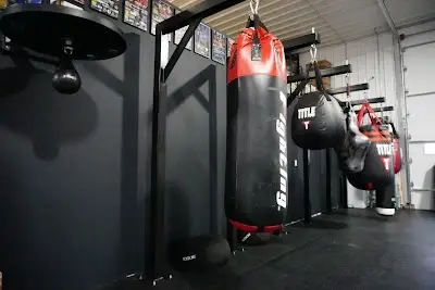 Premier Mixed Martial Arts LLC BJJ Academy - photo 2