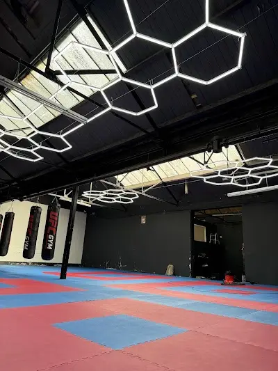 Prestige Martial Arts BJJ Academy - photo 1