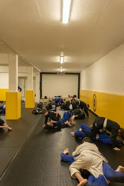 Primal Brazilian Jiu Jitsu Academy BJJ Academy - photo 1