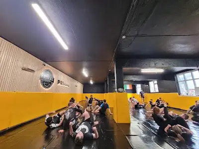 Primal Brazilian Jiu Jitsu Academy BJJ Academy - photo 3