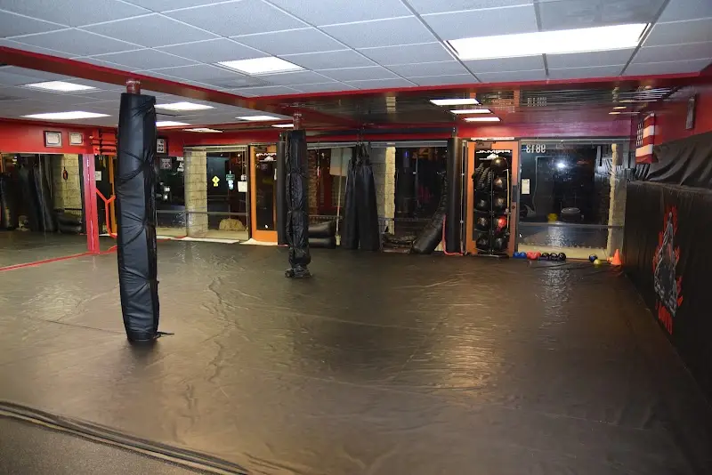 Primal Jiu Jitsu BJJ Academy - photo 1