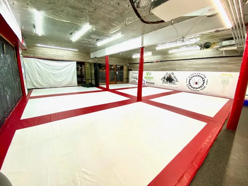 Primal Jiu Jitsu BJJ Academy - photo 2