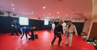 Primal MMA Academy