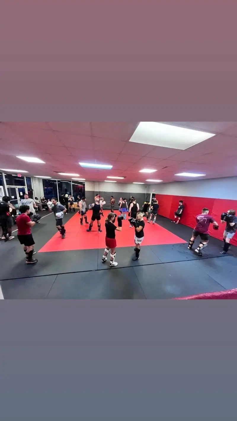 Primal Striking and BJJ BJJ Academy - photo 1