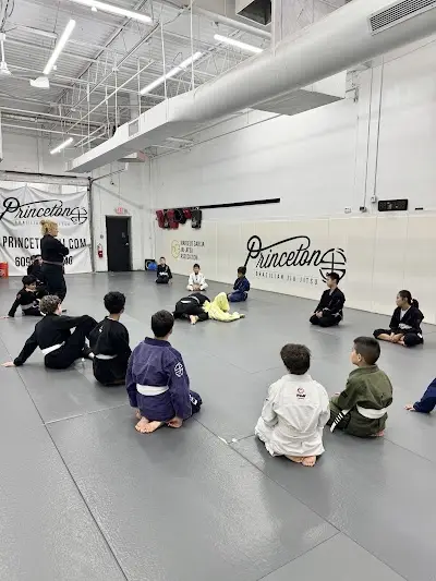 Princeton Brazilian Jiu Jitsu