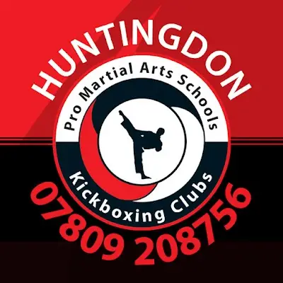 Pro martial arts schools huntingdon