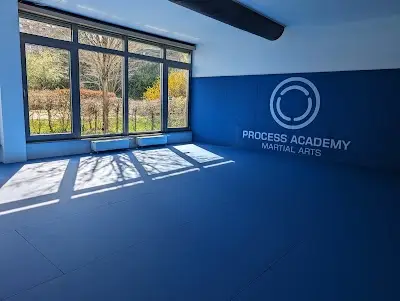 Process Academy Stuttgart BJJ Academy - photo 2