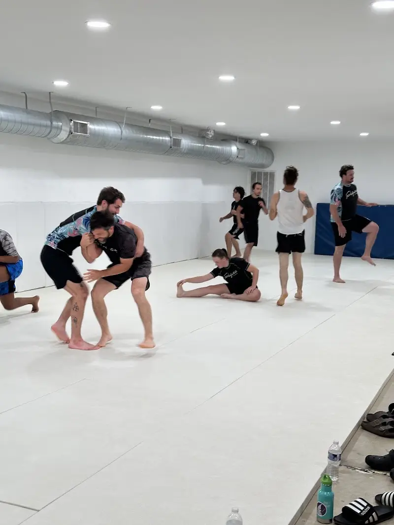 Profectus Jiu-Jitsu Columbia BJJ Academy - photo 1