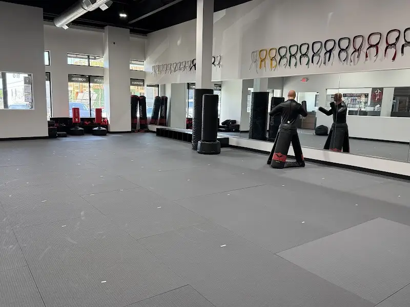 Professional Black Belt Academy - Celina