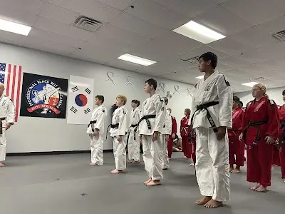 Professional Black Belt Academy of Hot Springs