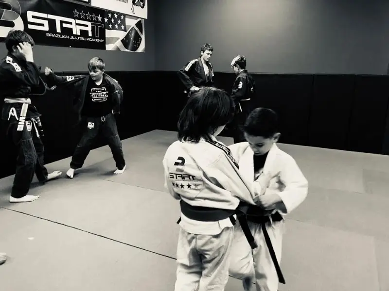 Professional Martial Arts Academy BJJ Academy - photo 2
