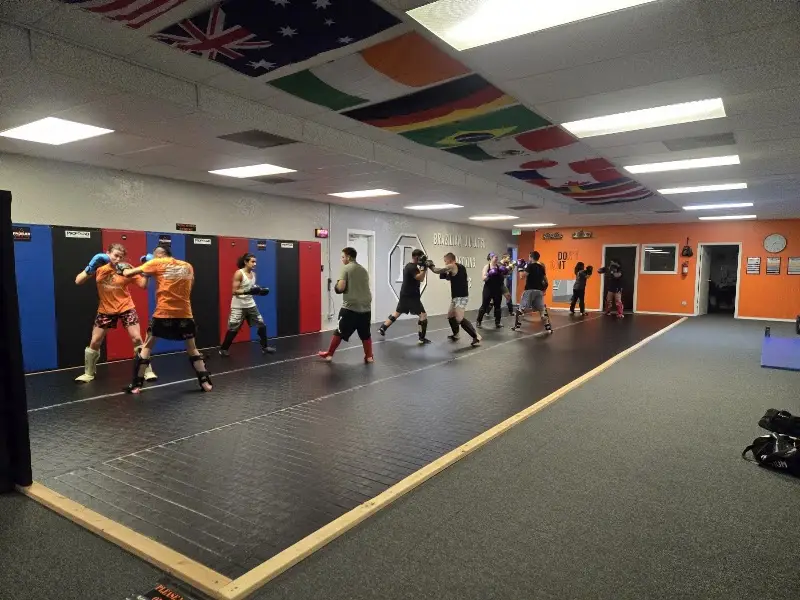 Profound Fitness BJJ Academy - photo 1