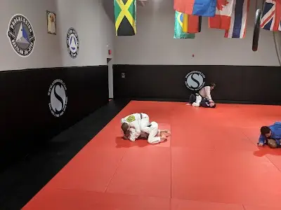 Progression BJJ - Brazilian Jiu-Jitsu BJJ Academy - photo 3