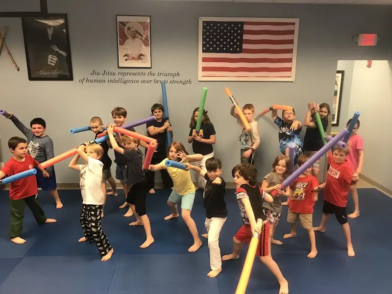 Progressive Martial Arts Academy BJJ Academy - photo 2