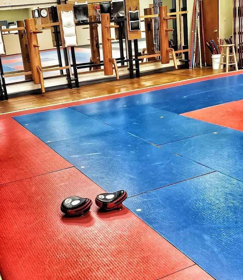 Progressive Martial Arts Training Center BJJ Academy - photo 1