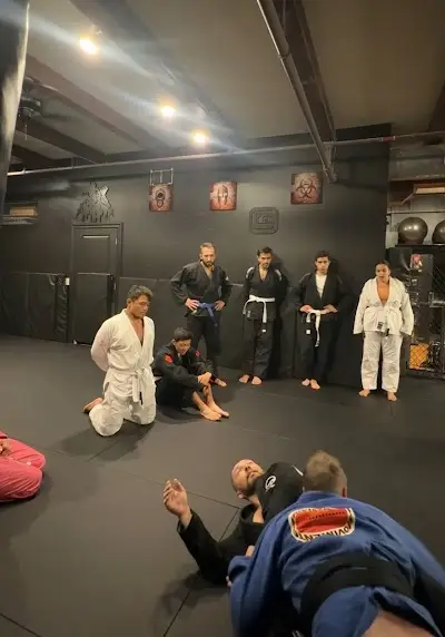 Project Achilles - Mixed Martial Arts - BJJ - Muay Thai - Self Defense - Concealed Carry Licence - Kid BJJ - Kid Muay Thaï BJJ Academy - photo 3