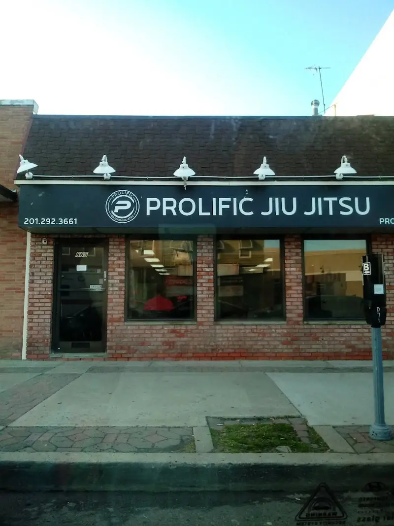 Prolific Brazilian Jiu Jitsu BJJ Academy - photo 1