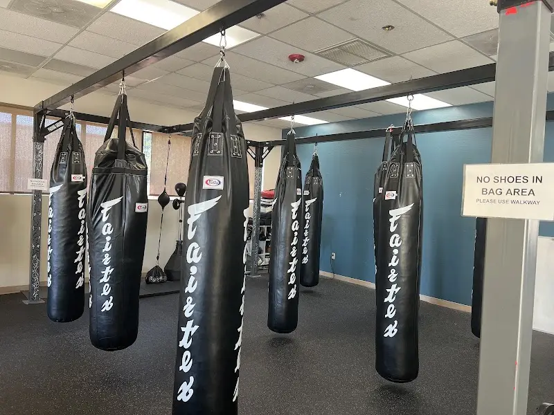 Proving Ground MMA/Vargas Jiu Jitsu BJJ Academy - photo 2