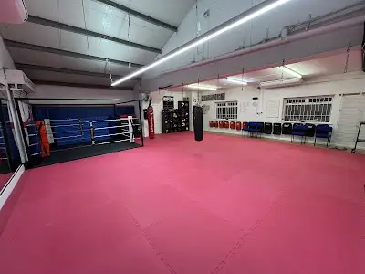 PT Kickboxing Specialist