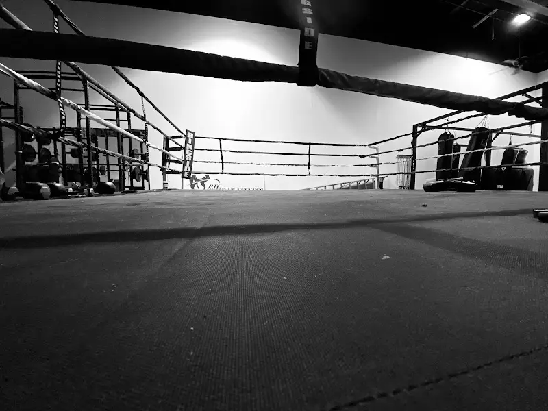 PTC Combat Fitness BJJ Academy - photo 2