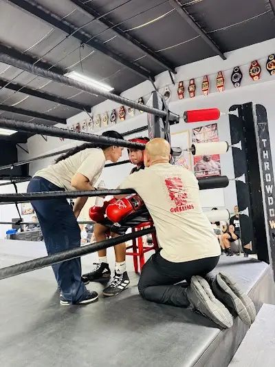 Pulso Fitness BJJ Academy - photo 3