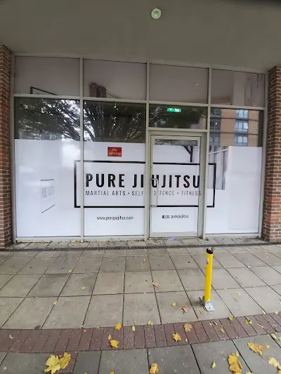 PURE JIUJITSU BJJ Academy - photo 1