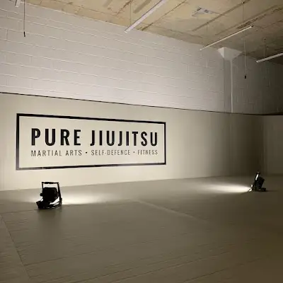 PURE JIUJITSU BJJ Academy - photo 2