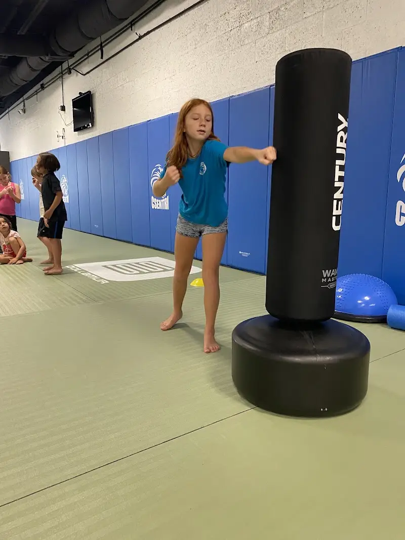 Pure life martial arts BJJ Academy - photo 1