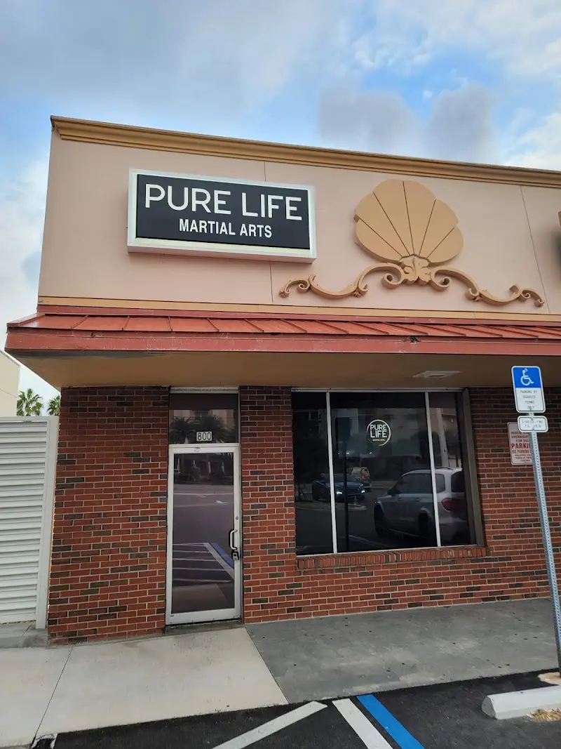 Pure life martial arts BJJ Academy - photo 2