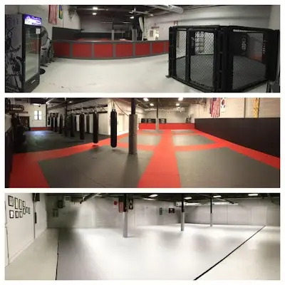 Pure Mixed Martial Arts