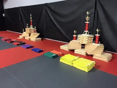 Pure Mixed Martial Arts BJJ Academy - photo 2