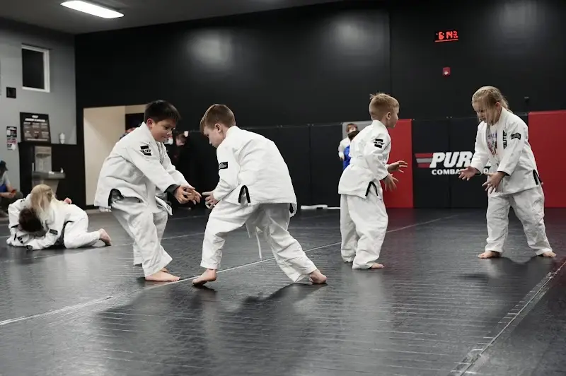 Purler Combat Academy BJJ Academy - photo 1