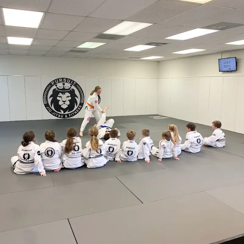 Pursuit Brazilian Jiu-Jitsu & Fitness BJJ Academy - photo 2