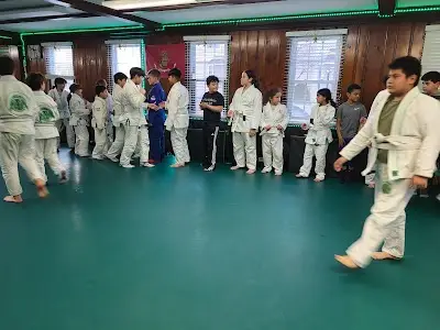 Puzon Jiu Jitsu BJJ Academy - photo 1