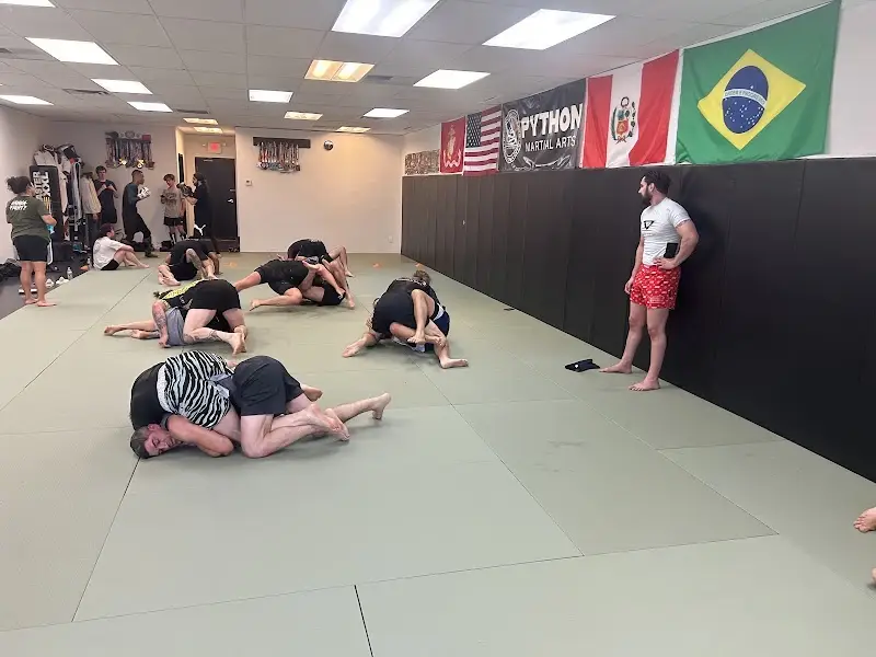 Python Martial Arts