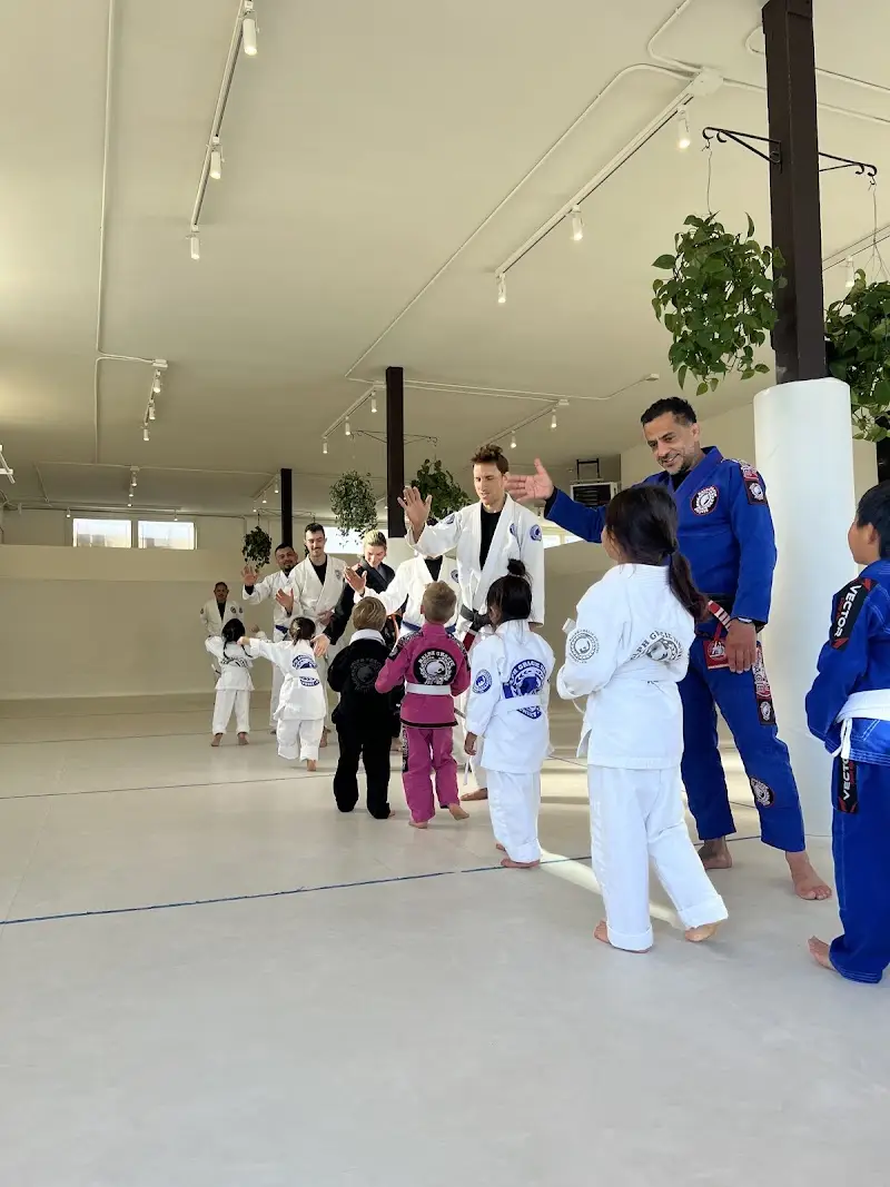 Ralph Gracie Sunset