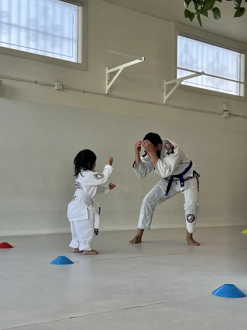 Ralph Gracie Sunset BJJ Academy - photo 2