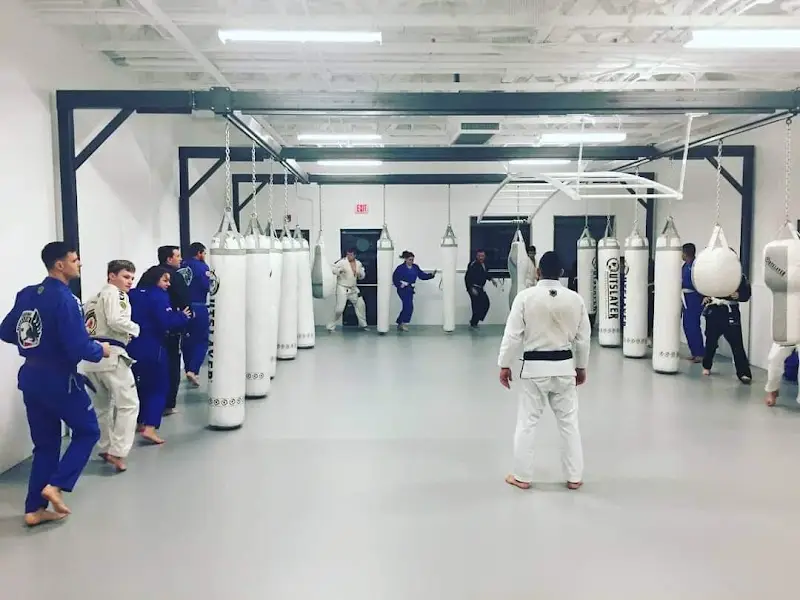 Ramona Brazilian Jiu-Jitsu & MMA center BJJ Academy - photo 2