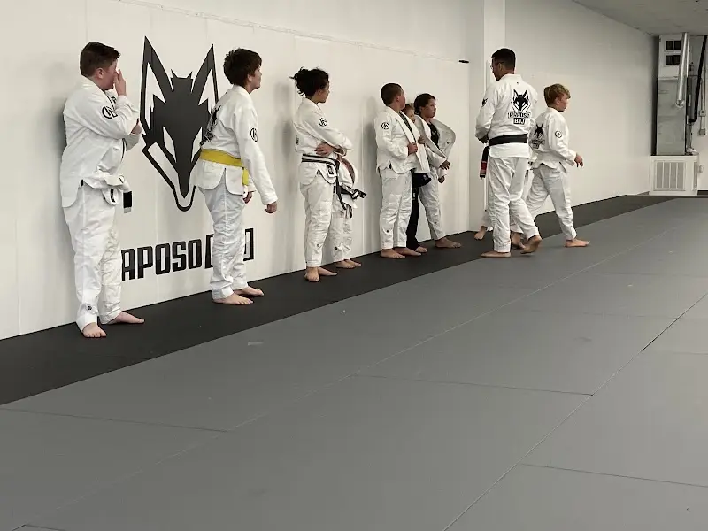 Raposo BJJ Academy