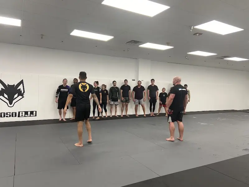 Raposo BJJ Academy BJJ Academy - photo 1