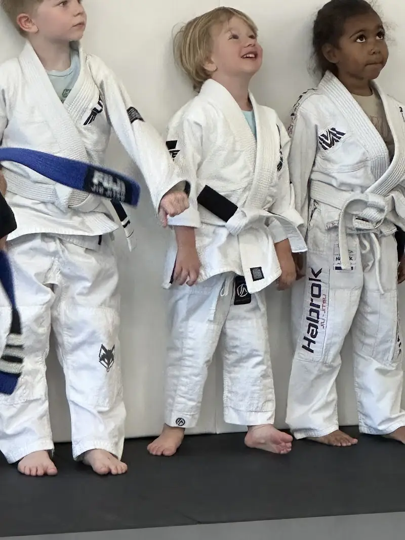Raposo BJJ Academy BJJ Academy - photo 2