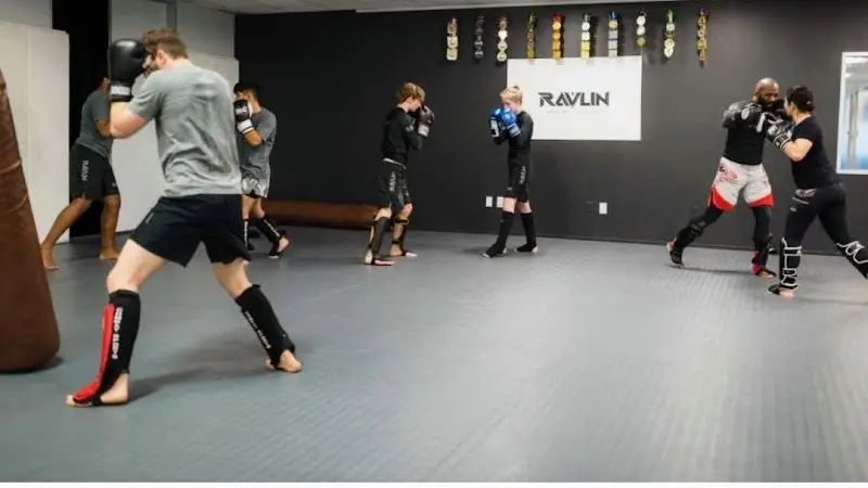 Ravlin Martial Arts